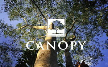 homes for sale Canopy 