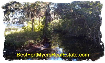 Homes for Sale Parkridge Fort Myers