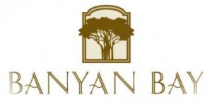 banyan bay real estate fort myers fl 33908