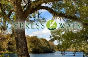 Cypress Walk Fort Myers FL 33966