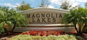 homes for sale magnolia lakes