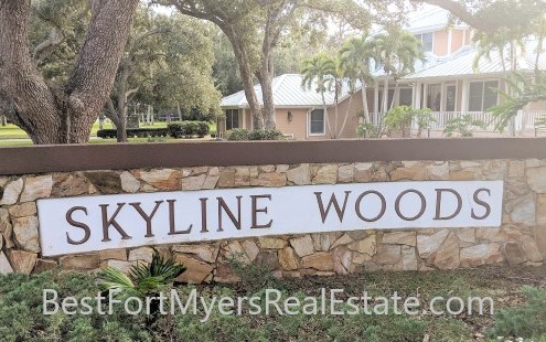 Real Estate Skyline Woods