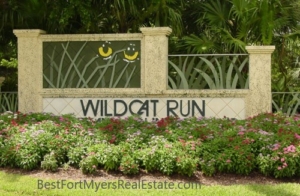 wild cat run for sale